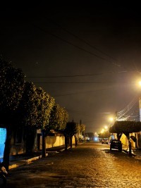 Nova Floresta