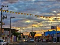 Nova Floresta