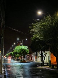 Nova Floresta