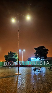 Nova Floresta