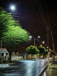 Nova Floresta
