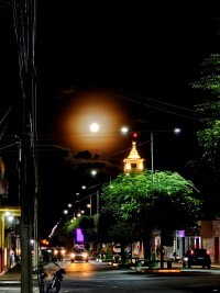 Nova Floresta