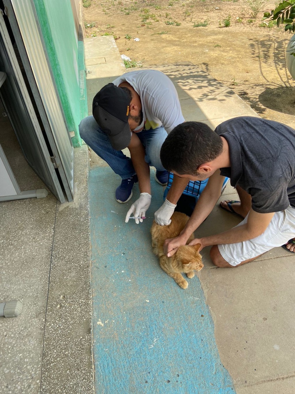 A Prefeitura de Nova Floresta promove o Dia-D de vacinação antirrábica para cães e gatos.