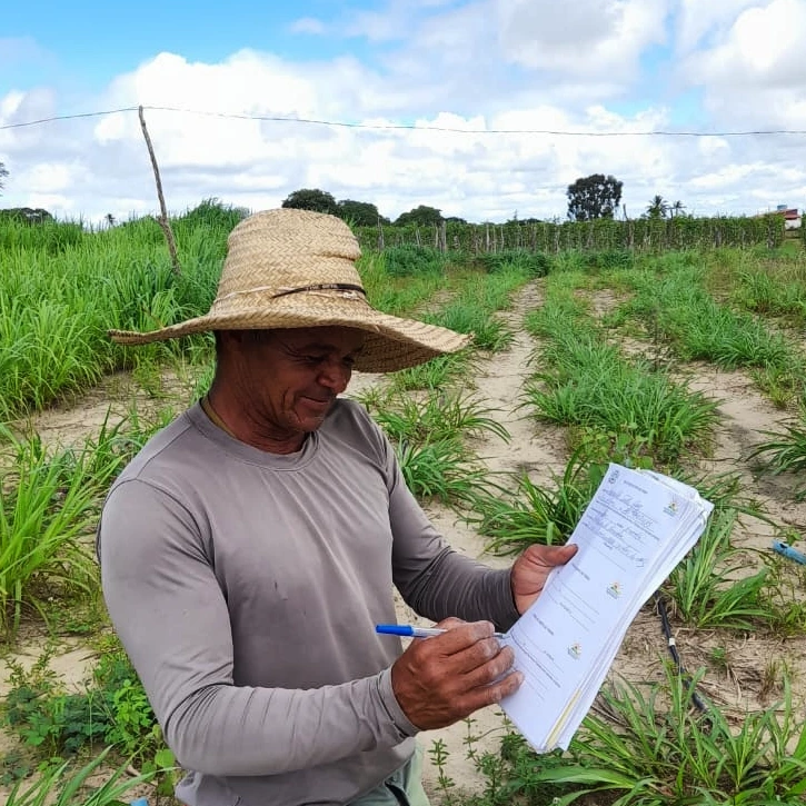 Prefeitura de Nova Floresta segue realizando cortes de terra na zona rural