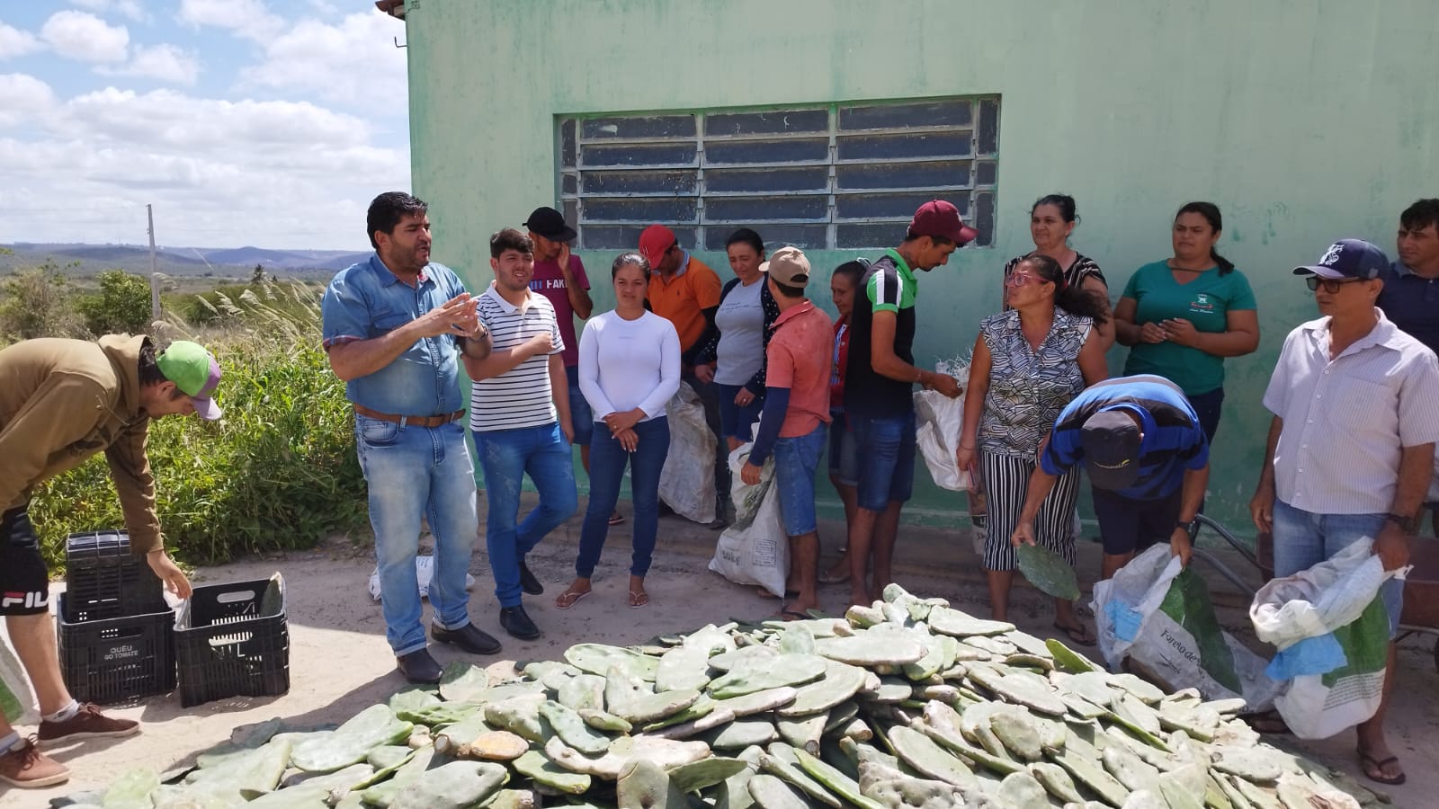 Prefeitura de Nova Floresta entrega raquetes de palma-forrageira na zona rural