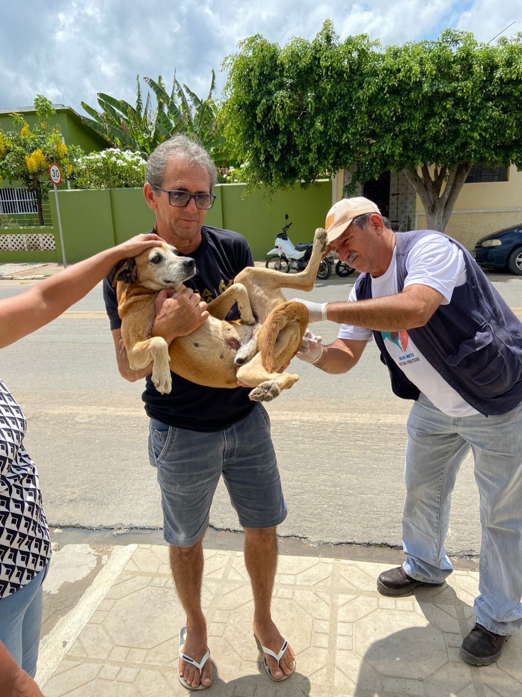 A Prefeitura de Nova Floresta promove o Dia-D de vacinação antirrábica para cães e gatos.