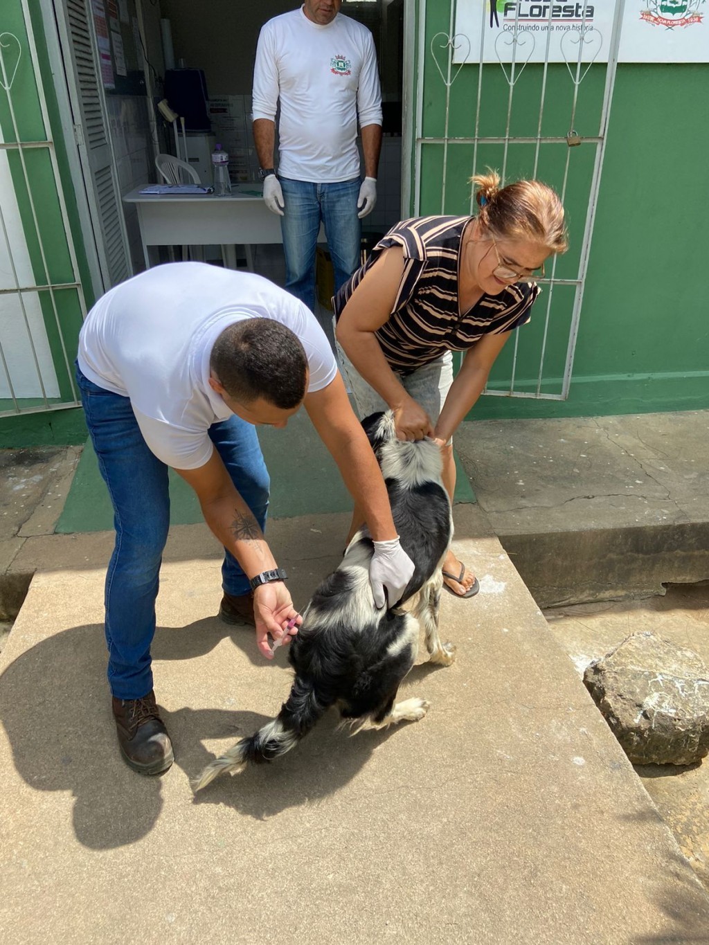 A Prefeitura de Nova Floresta promove o Dia-D de vacinação antirrábica para cães e gatos.