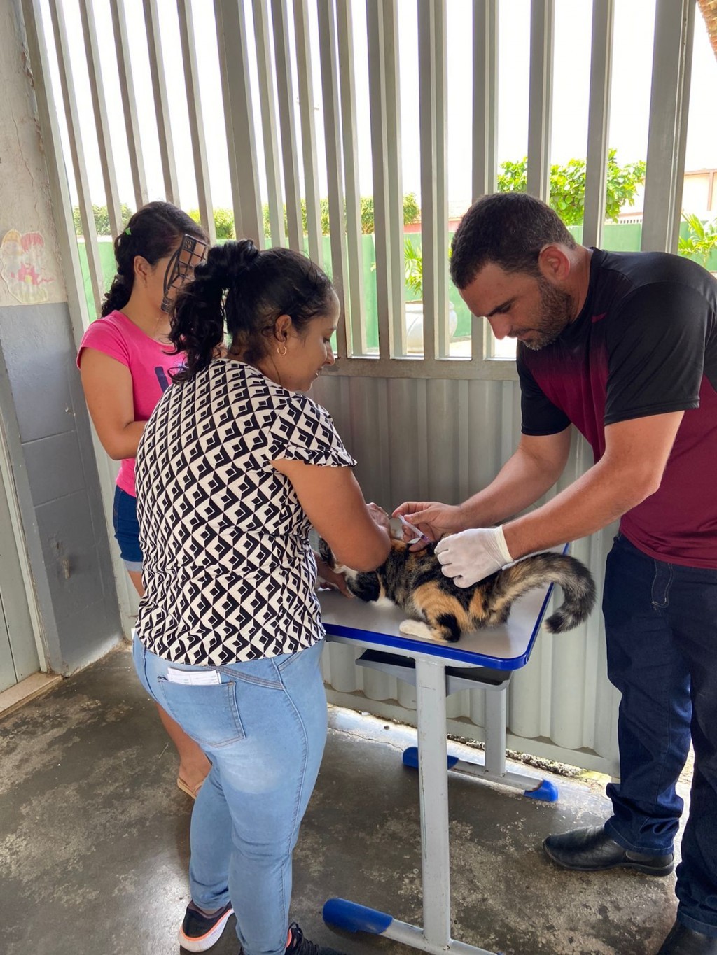A Prefeitura de Nova Floresta promove o Dia-D de vacinação antirrábica para cães e gatos.