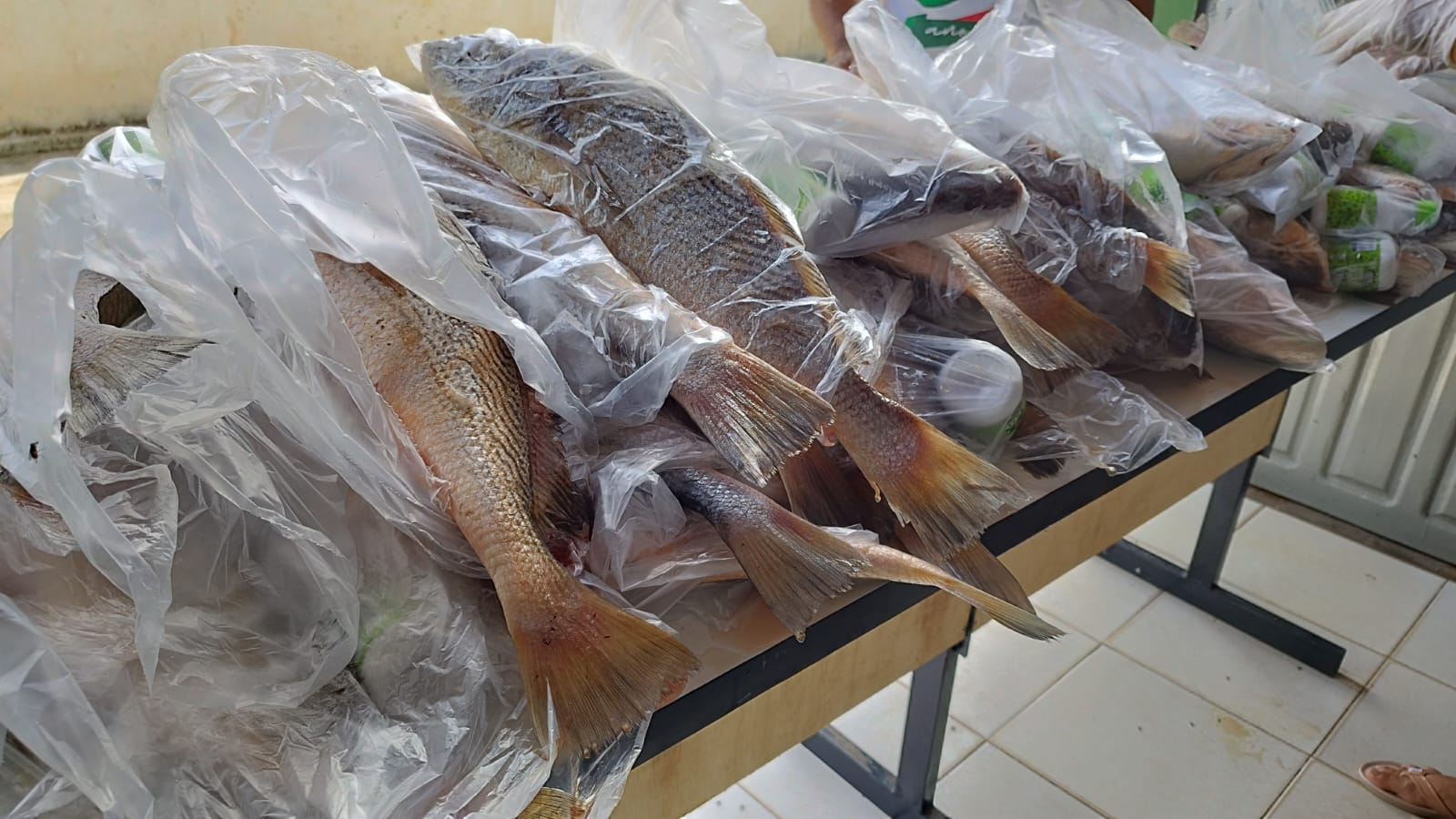 Prefeitura de Nova Floresta realiza entrega do Peixe da Semana Santa