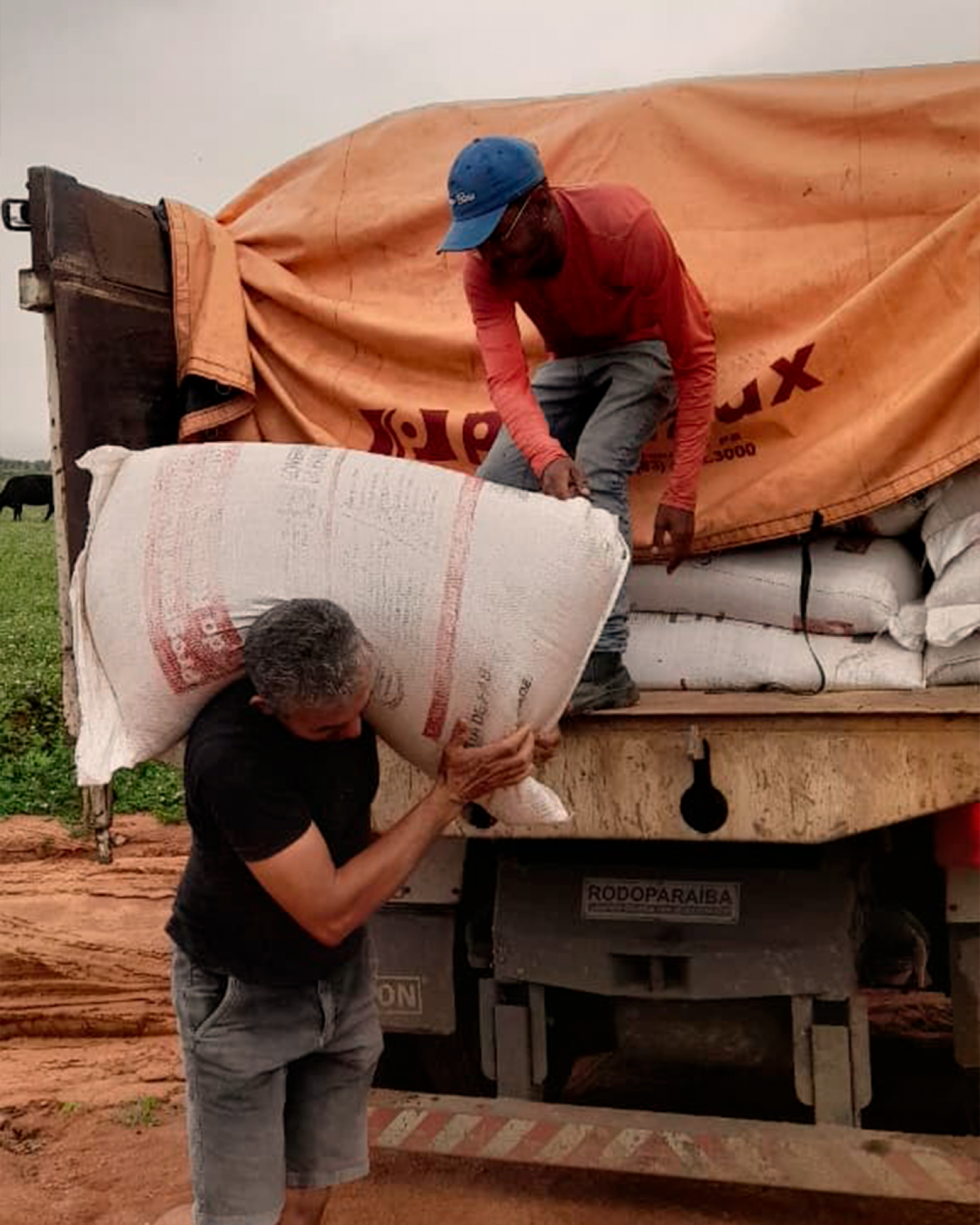 Prefeitura de Nova Floresta realiza entrega de ração subsidiada a produtores rurais