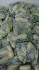 Secretaria de Ação Social realiza entrega de alimentos nesta terça-feira (10)