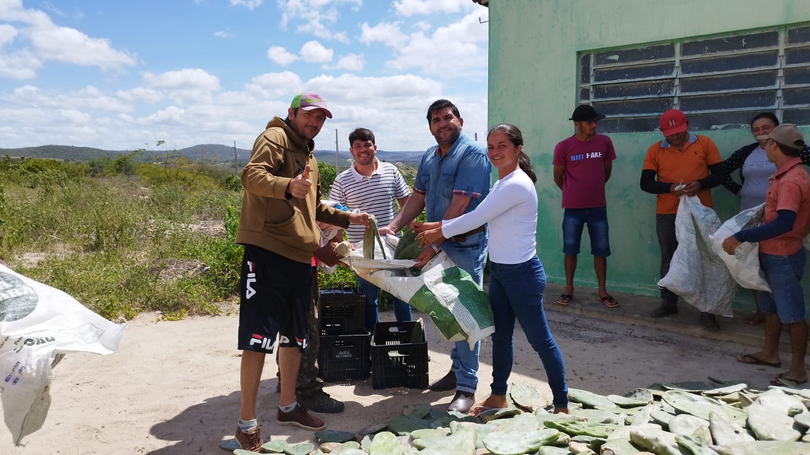 Prefeitura de Nova Floresta entrega raquetes de palma-forrageira na zona rural