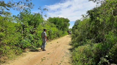Prefeitura de Nova Floresta realiza serviços de roço em estradas vicinais da zona rural