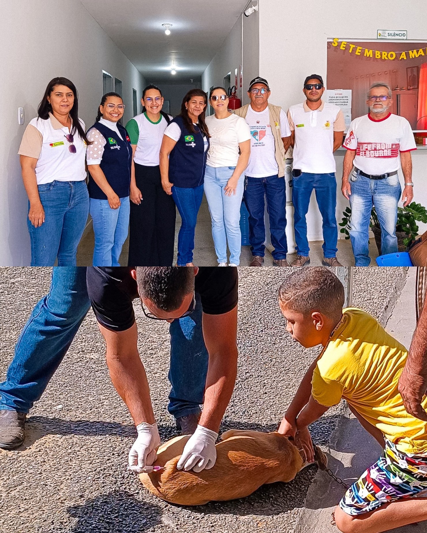 Nova Floresta realiza com sucesso o Dia D da Vacinação Antirrábica