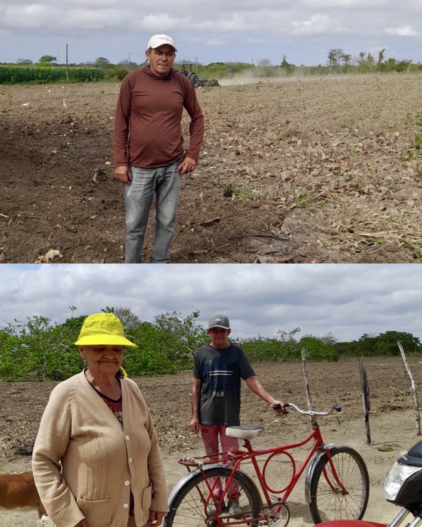 Secretaria de Agricultura e Abastecimento realiza cortes de terra no município