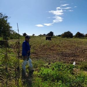 Prefeitura de Nova Floresta realiza serviços de corte de terra em propriedades rurais