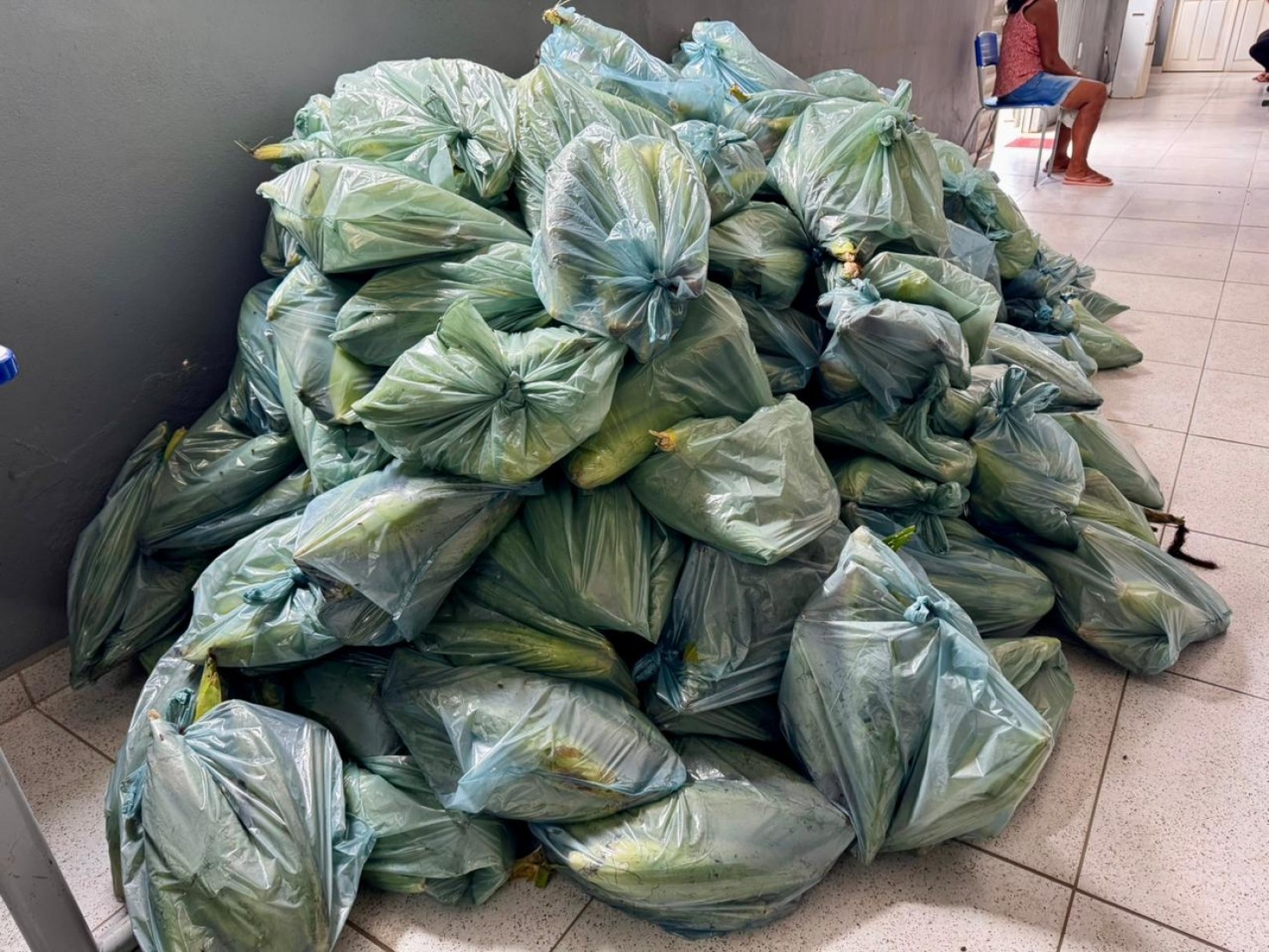 Prefeitura realiza entrega de milho pelo PAA e reforça apoio à agricultura familiar e às famílias assistidas