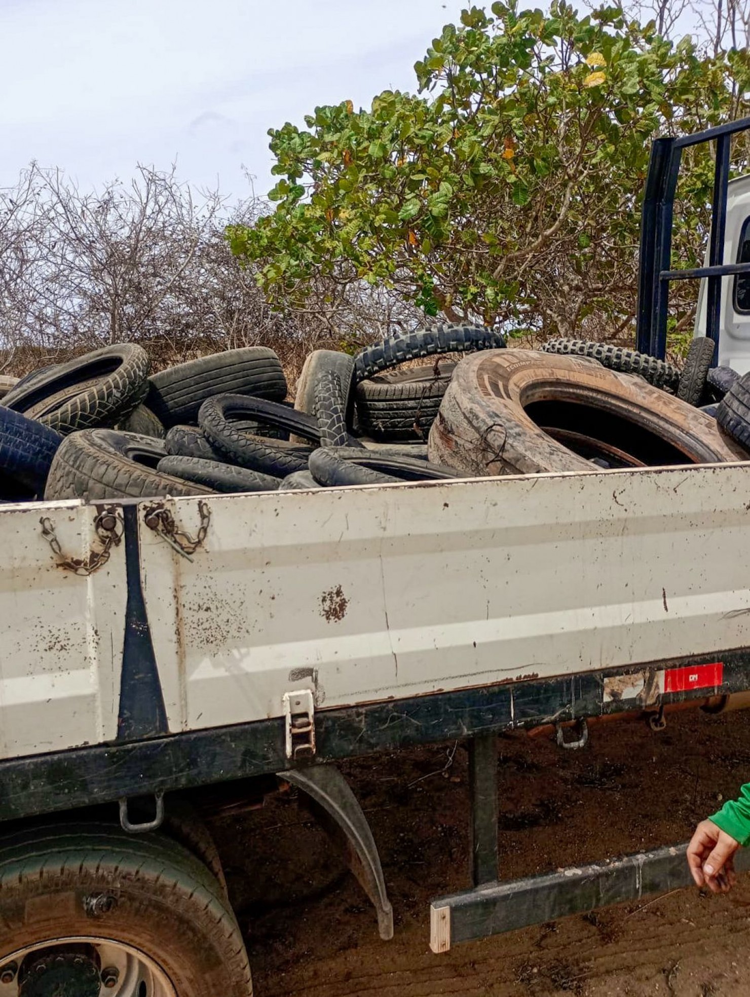 Prefeitura de Nova Floresta realiza ação de combate ao mosquito da dengue com recolhimento de pneus