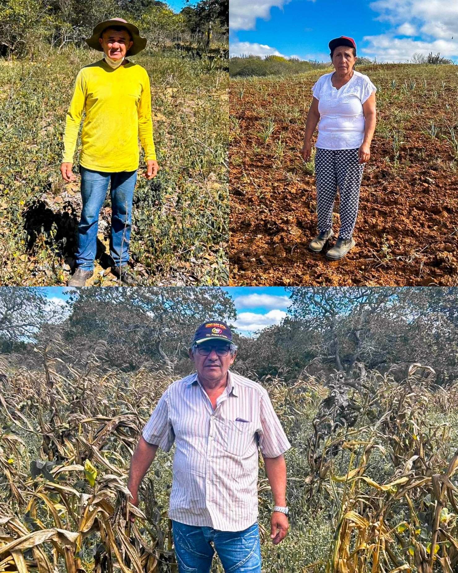 Prefeitura de Nova Floresta conclui laudo do Garantia Safra 2025 na zona rural