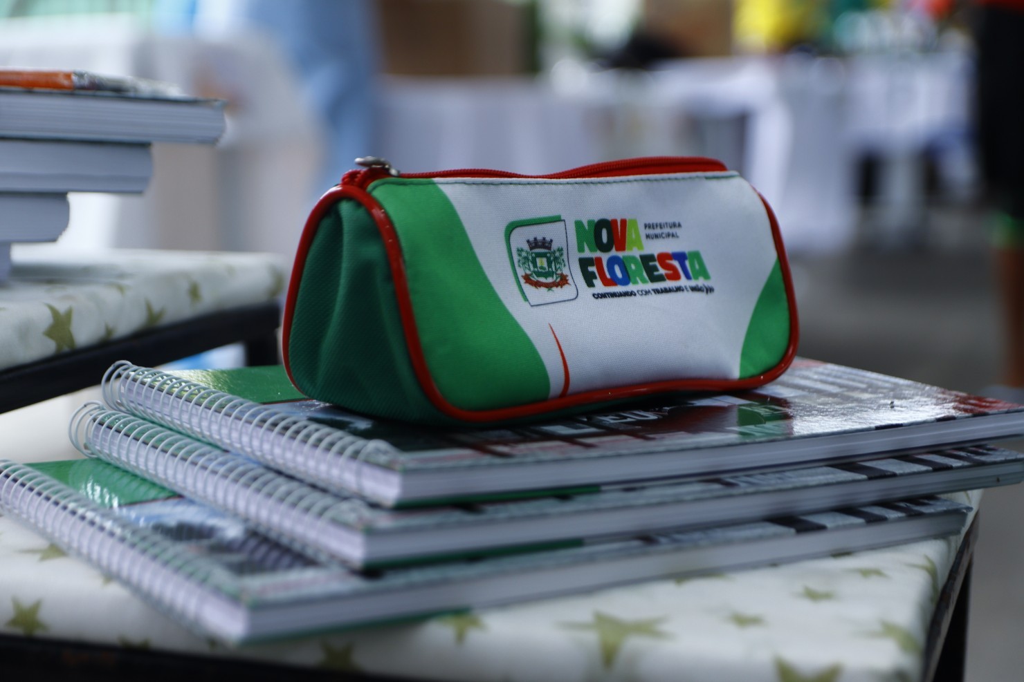 5ª FESENF fortalece empreendedorismo, valoriza a cultura e aproxima serviços da população em Nova Floresta
