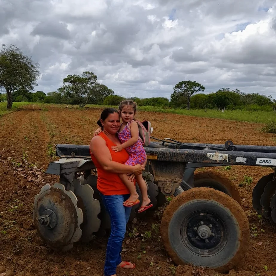Prefeitura de Nova Floresta realiza cortes de terra na zona rural