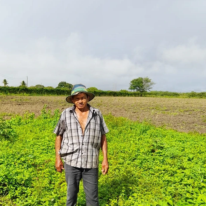 Prefeitura de Nova Floresta segue realizando cortes de terra na zona rural