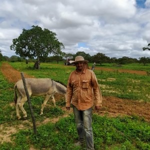 Prefeitura de Nova Floresta realiza cortes de terra na zona rural nesta semana