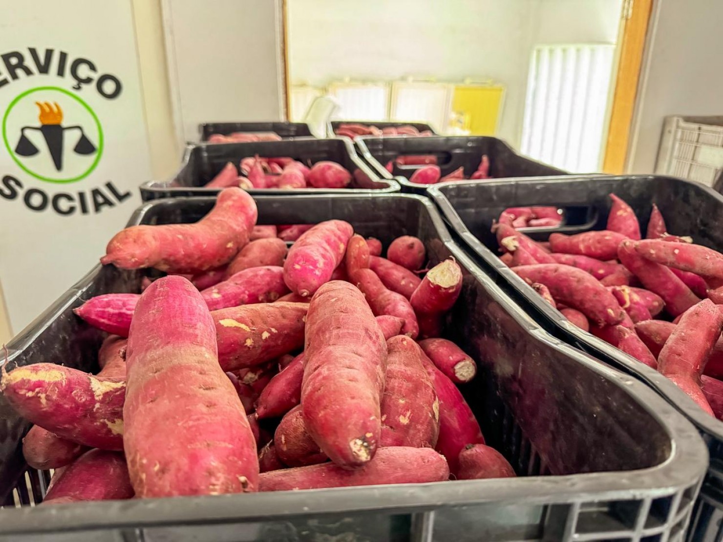 Prefeitura de Nova Floresta recebe produtos do PAA destinados às ações da Assistência Social