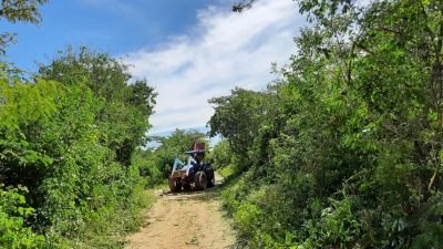 Prefeitura de Nova Floresta realiza serviços de roço em estradas vicinais da zona rural