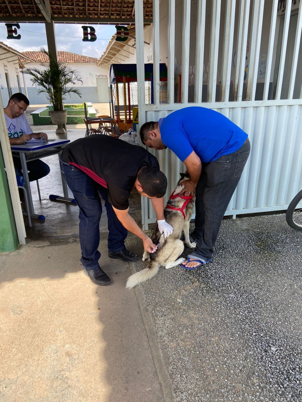 A Prefeitura de Nova Floresta promove o Dia-D de vacinação antirrábica para cães e gatos.