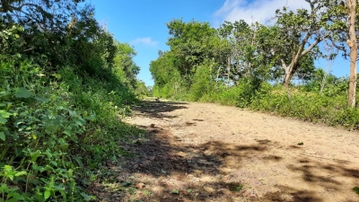 Prefeitura de Nova Floresta realiza serviços de roço em estradas vicinais da zona rural