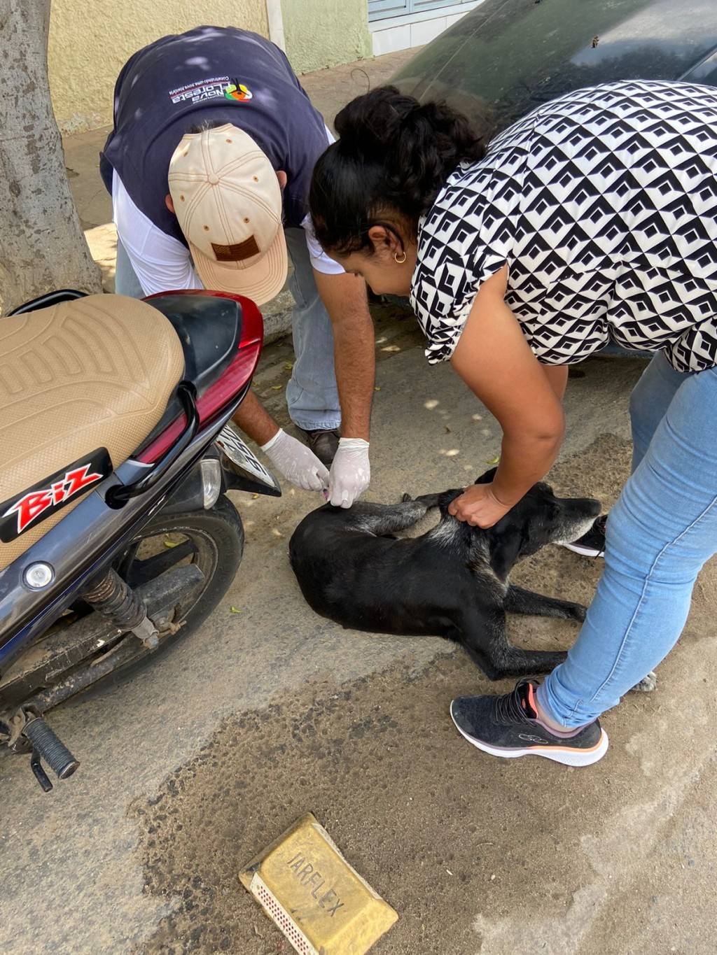 A Prefeitura de Nova Floresta promove o Dia-D de vacinação antirrábica para cães e gatos.