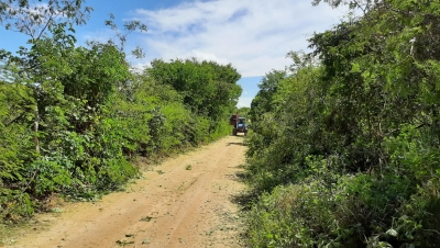 Prefeitura de Nova Floresta realiza serviços de roço em estradas vicinais da zona rural